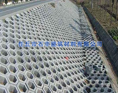 護坡磚案例